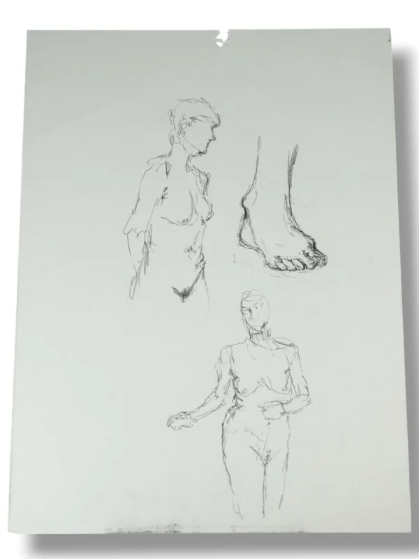 Nude life studies